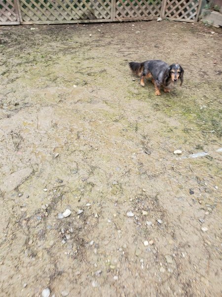 f:id:roukenhome-ann:20191027185851j:plain