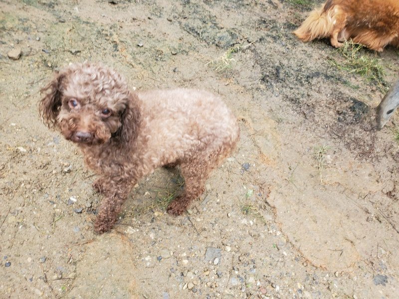 f:id:roukenhome-ann:20191027185936j:plain