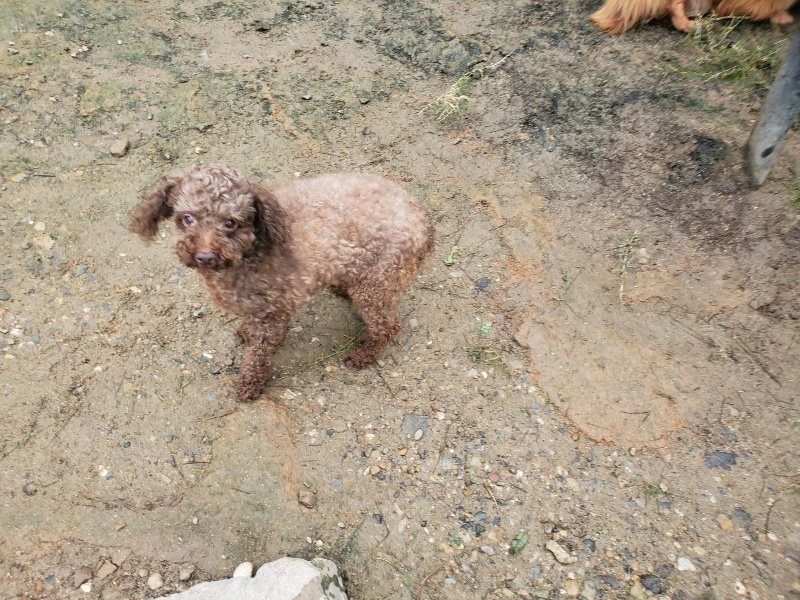 f:id:roukenhome-ann:20191027185944j:plain