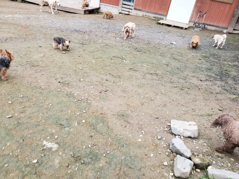 f:id:roukenhome-ann:20191027185954j:plain