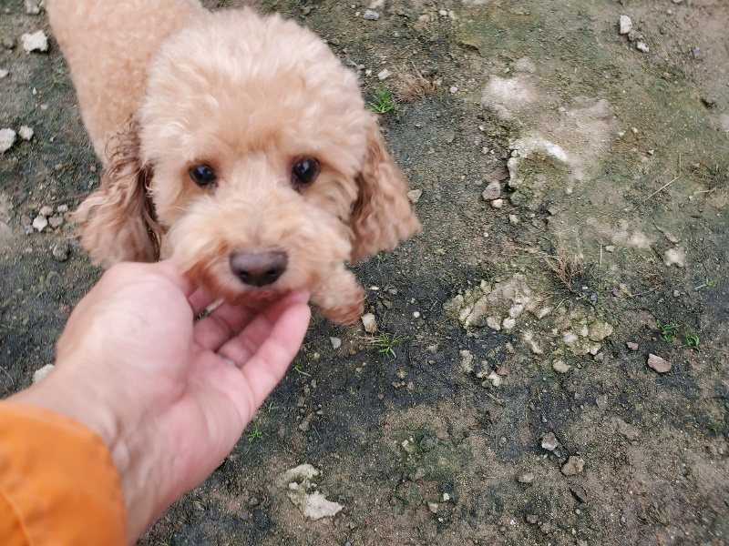 f:id:roukenhome-ann:20191027190010j:plain