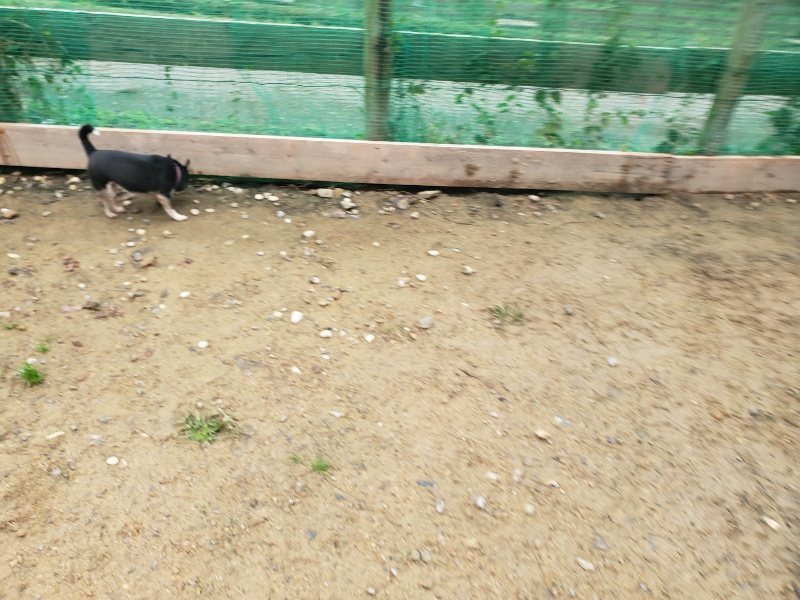 f:id:roukenhome-ann:20191027190021j:plain