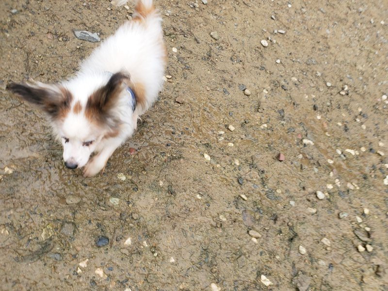 f:id:roukenhome-ann:20191027190032j:plain
