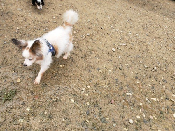 f:id:roukenhome-ann:20191027190044j:plain