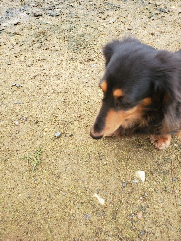 f:id:roukenhome-ann:20191027190114j:plain