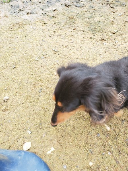 f:id:roukenhome-ann:20191027190123j:plain