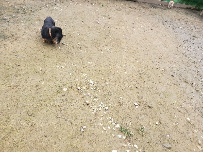 f:id:roukenhome-ann:20191027190201j:plain