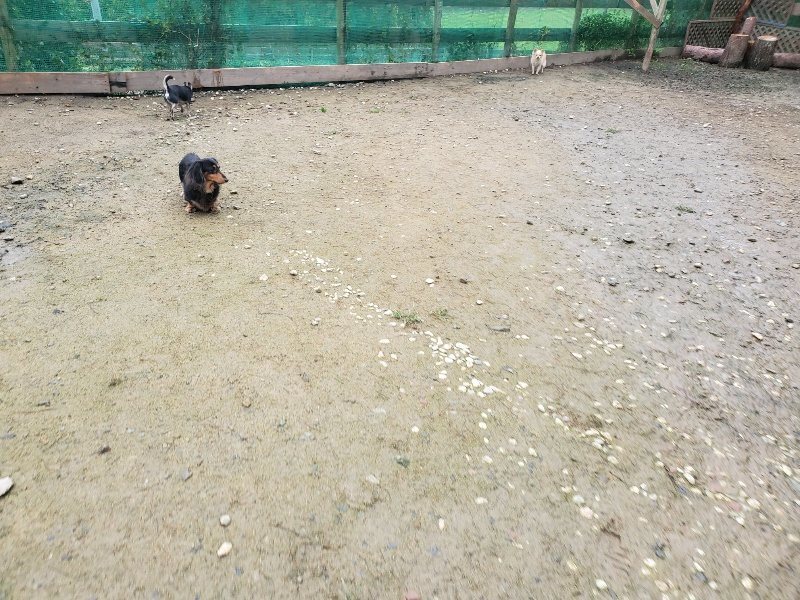 f:id:roukenhome-ann:20191027190220j:plain