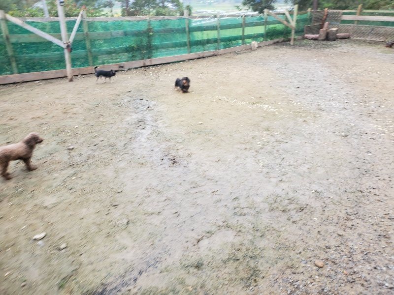 f:id:roukenhome-ann:20191027190231j:plain