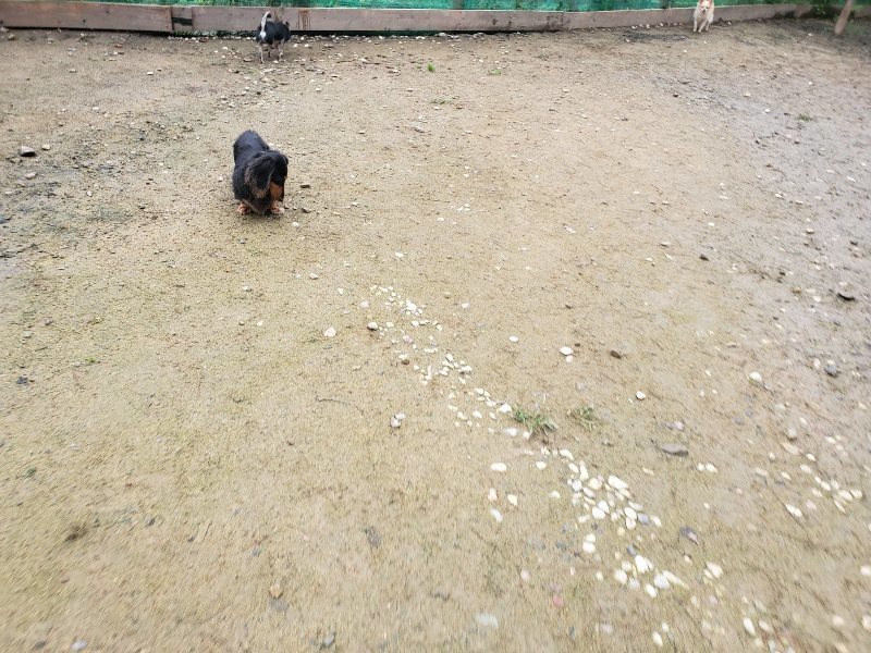 f:id:roukenhome-ann:20191027190241j:plain
