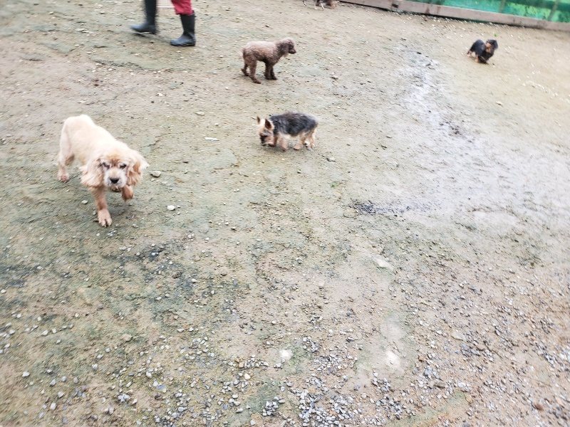 f:id:roukenhome-ann:20191027190255j:plain