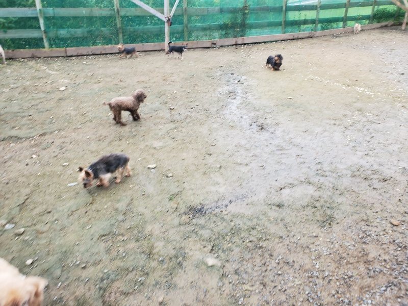 f:id:roukenhome-ann:20191027190301j:plain