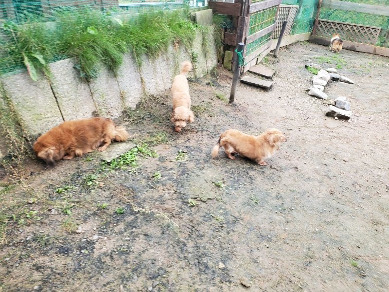 f:id:roukenhome-ann:20191027190311j:plain