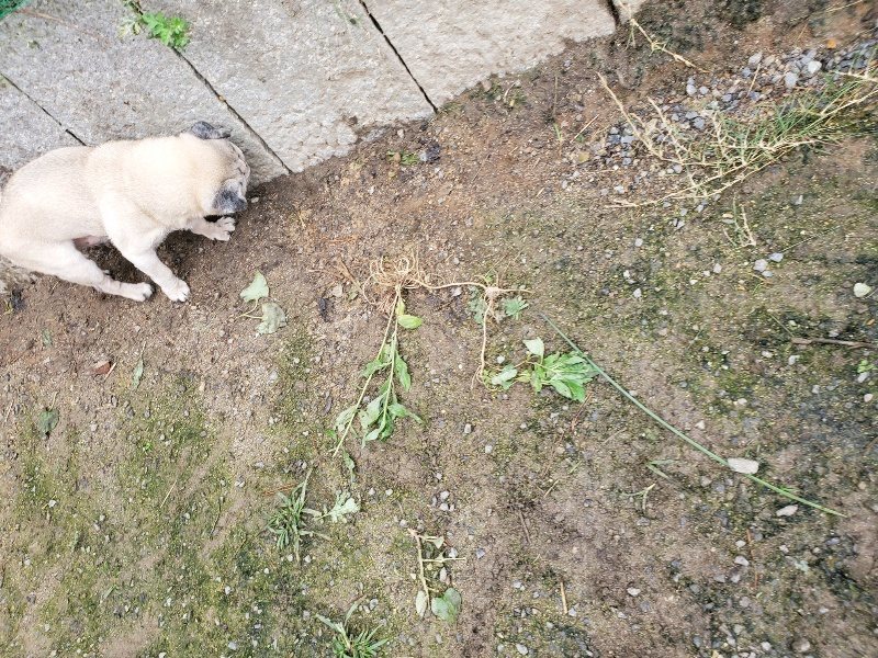 f:id:roukenhome-ann:20191027190321j:plain
