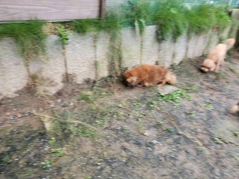 f:id:roukenhome-ann:20191027190329j:plain