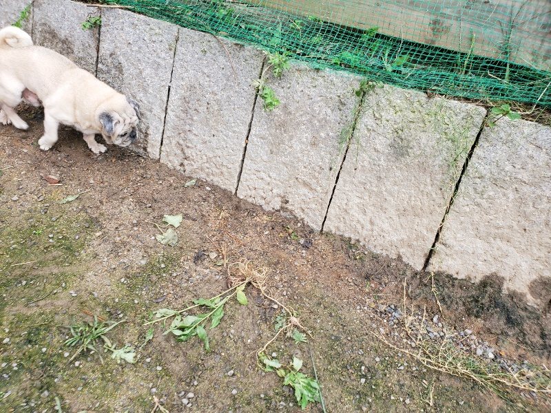 f:id:roukenhome-ann:20191027190340j:plain