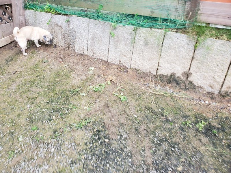 f:id:roukenhome-ann:20191027190349j:plain