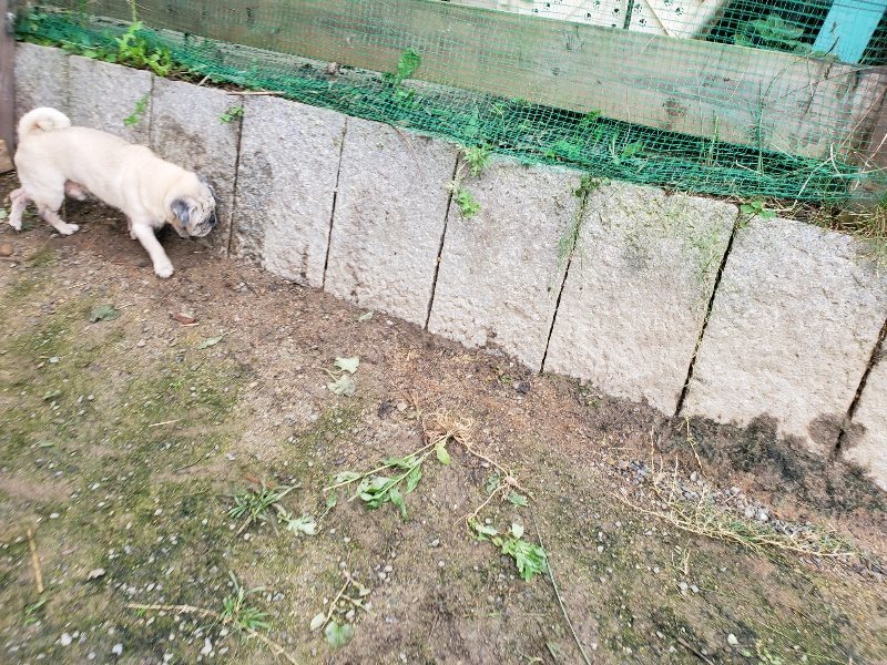 f:id:roukenhome-ann:20191027190400j:plain
