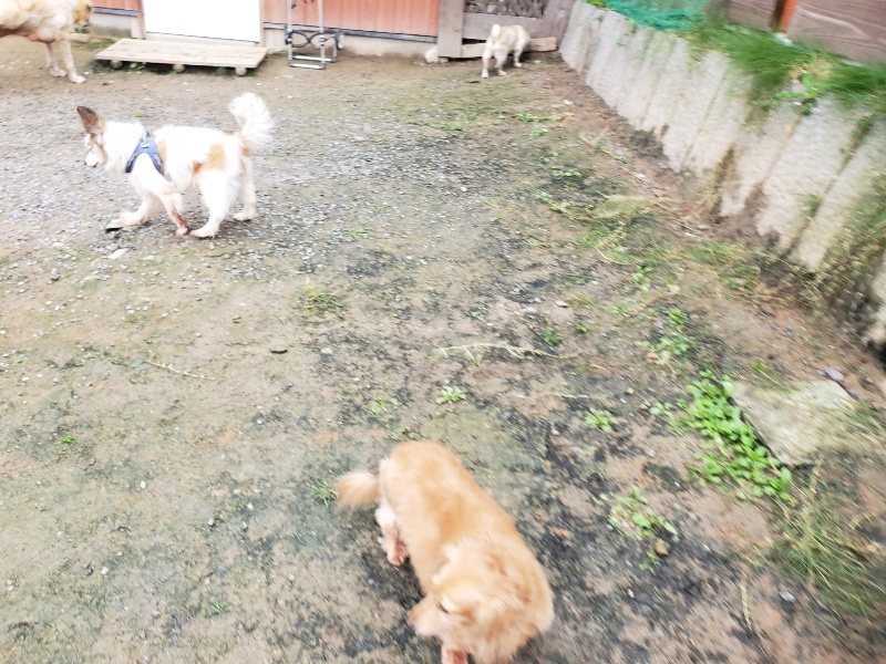f:id:roukenhome-ann:20191027190410j:plain