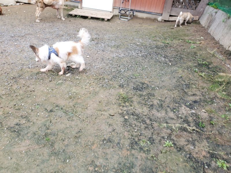 f:id:roukenhome-ann:20191027190434j:plain