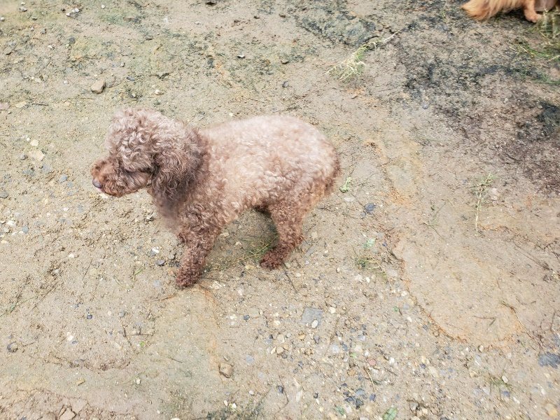 f:id:roukenhome-ann:20191027190500j:plain