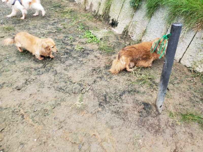 f:id:roukenhome-ann:20191027190508j:plain