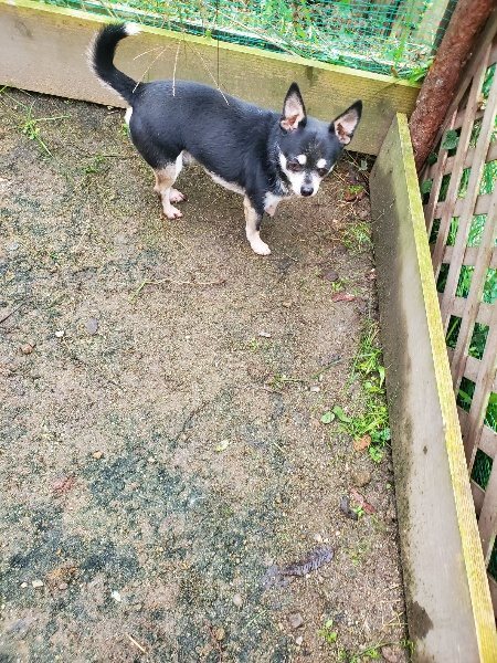 f:id:roukenhome-ann:20191027190651j:plain
