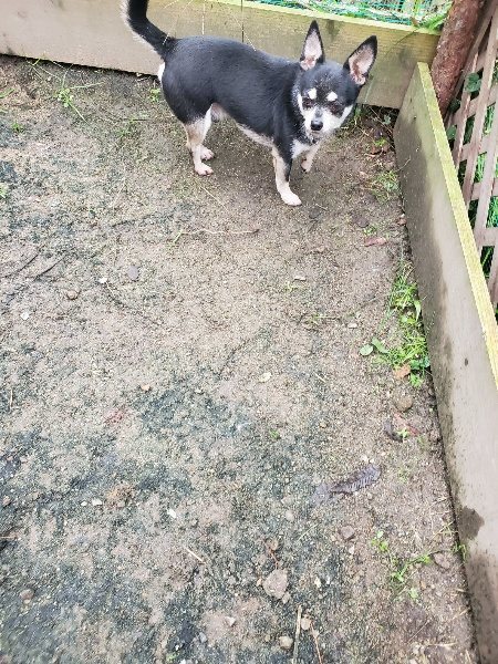 f:id:roukenhome-ann:20191027190700j:plain
