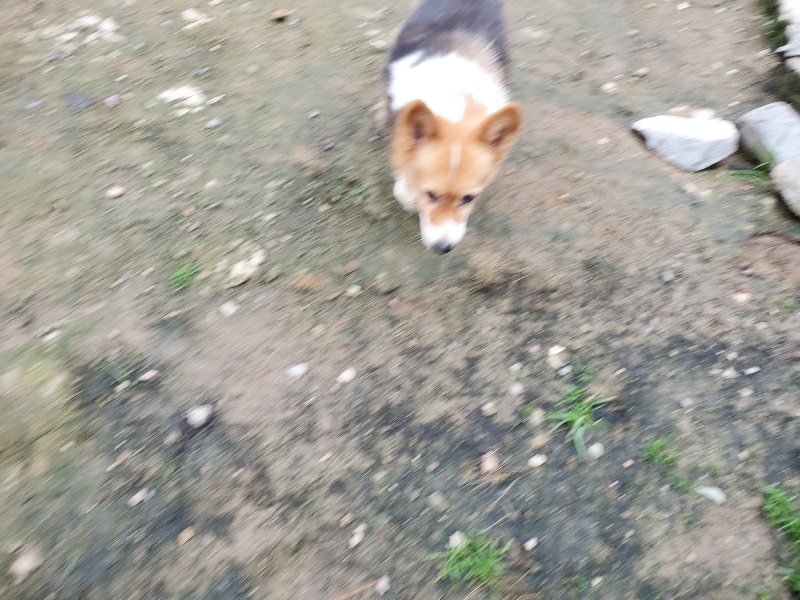 f:id:roukenhome-ann:20191027190731j:plain
