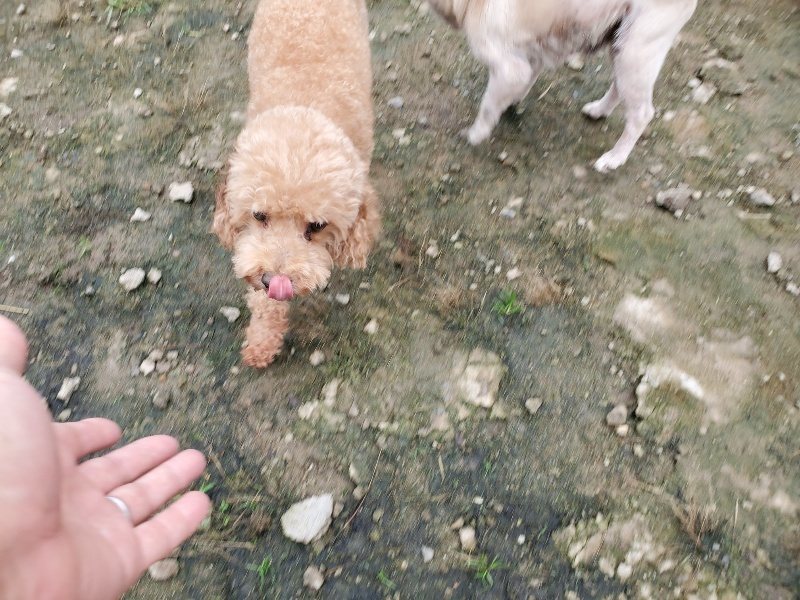 f:id:roukenhome-ann:20191027190742j:plain