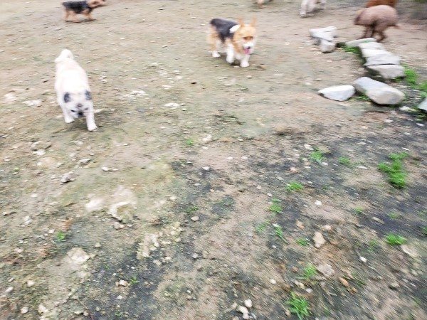 f:id:roukenhome-ann:20191027190829j:plain