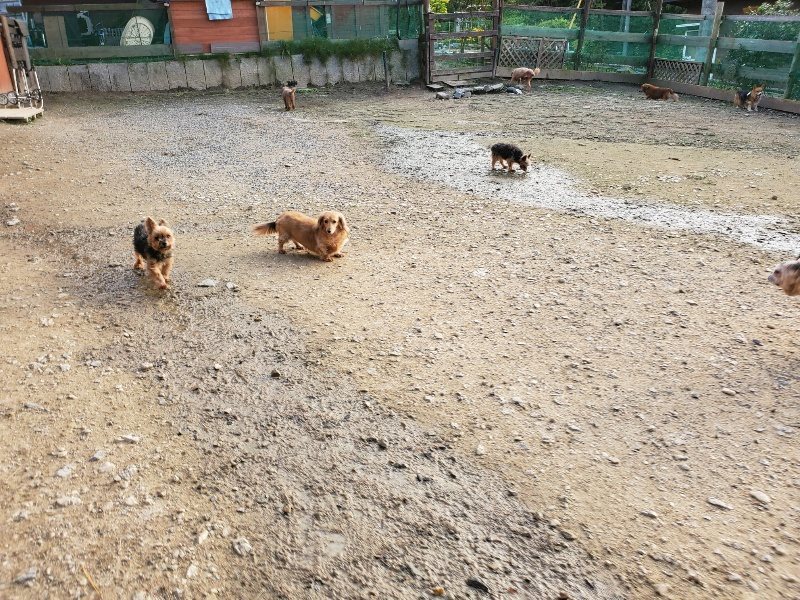 f:id:roukenhome-ann:20191028065652j:plain