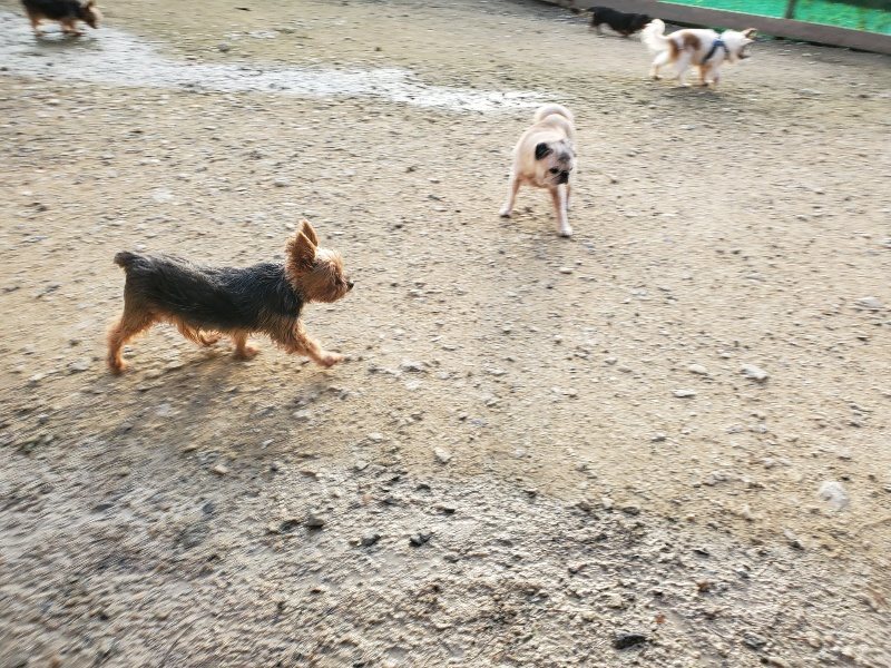 f:id:roukenhome-ann:20191028065704j:plain