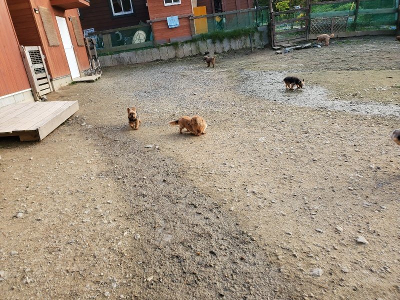 f:id:roukenhome-ann:20191028065712j:plain