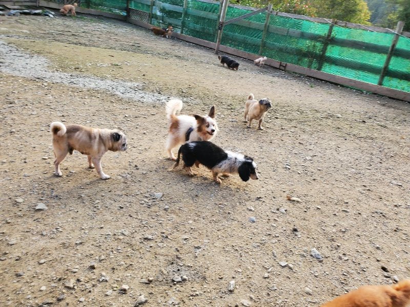 f:id:roukenhome-ann:20191028065740j:plain
