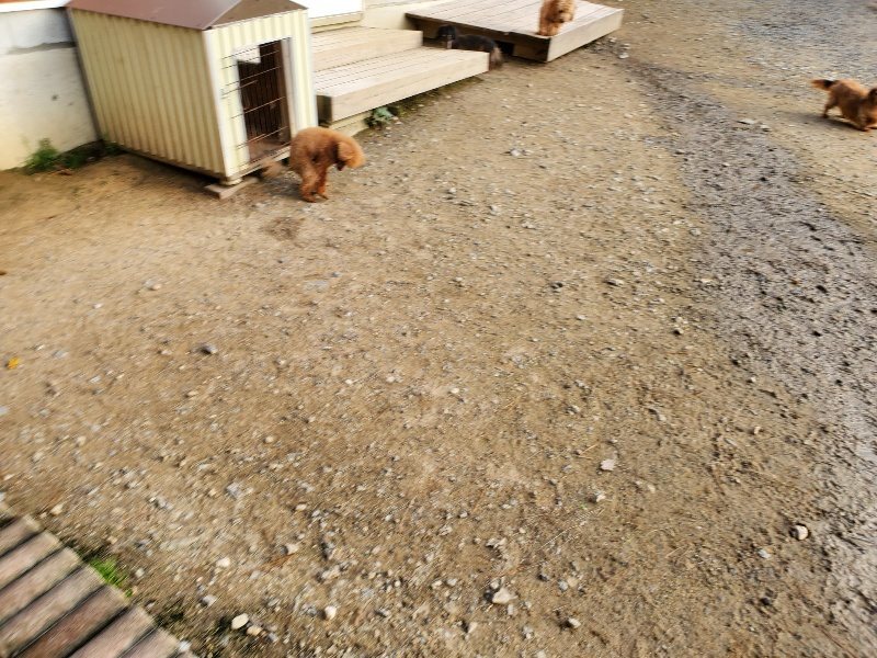 f:id:roukenhome-ann:20191028065803j:plain