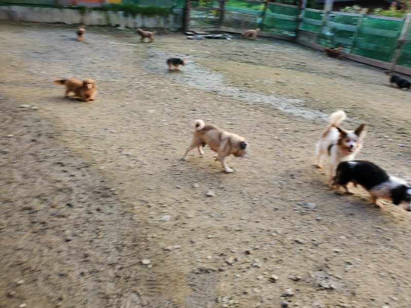 f:id:roukenhome-ann:20191028065813j:plain