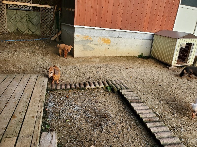 f:id:roukenhome-ann:20191028070003j:plain