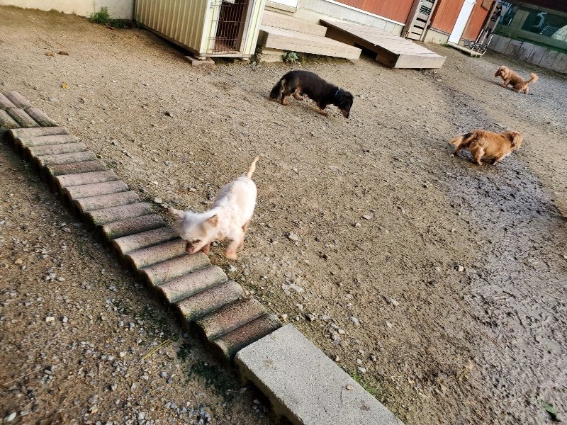 f:id:roukenhome-ann:20191028070014j:plain