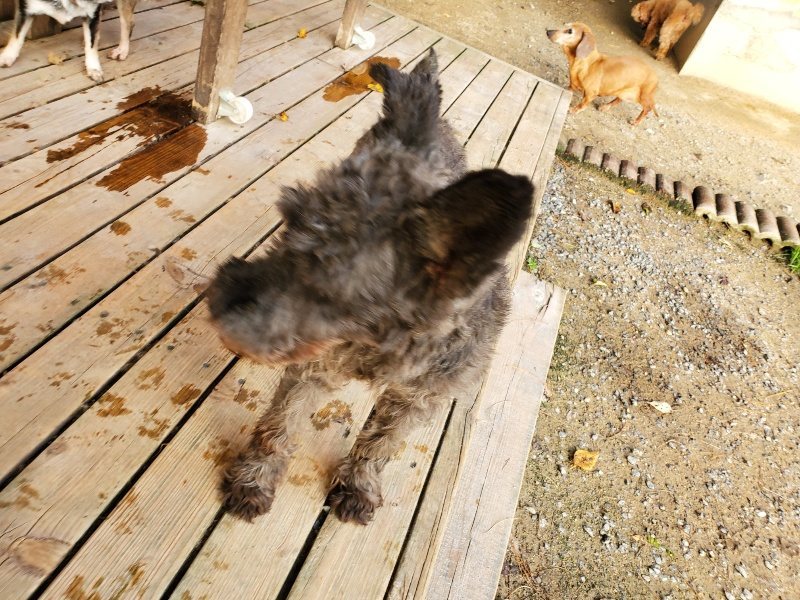 f:id:roukenhome-ann:20191028070032j:plain