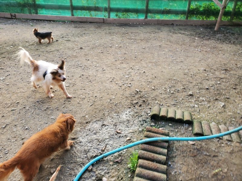 f:id:roukenhome-ann:20191028071033j:plain