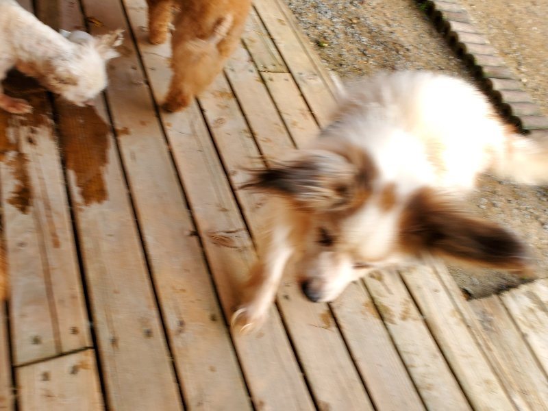 f:id:roukenhome-ann:20191028071052j:plain