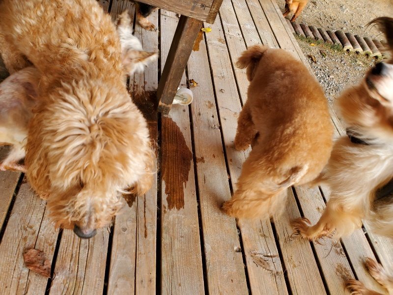 f:id:roukenhome-ann:20191028071107j:plain
