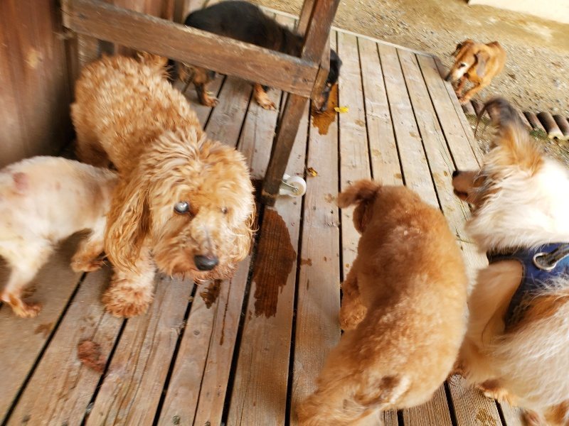 f:id:roukenhome-ann:20191028071122j:plain