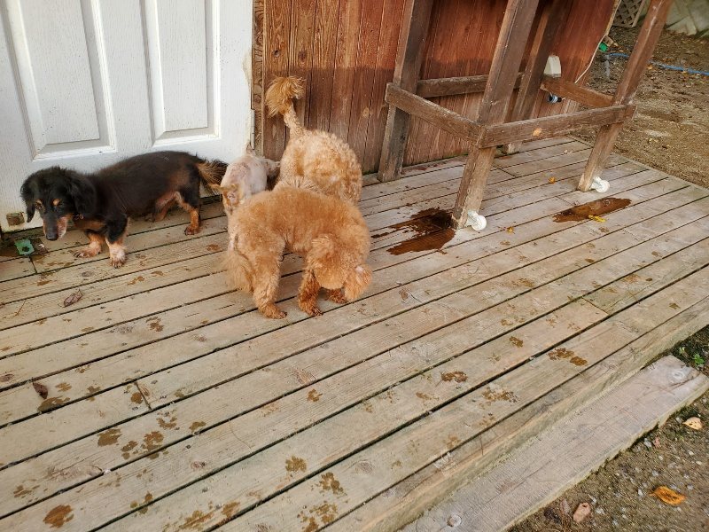 f:id:roukenhome-ann:20191028071210j:plain