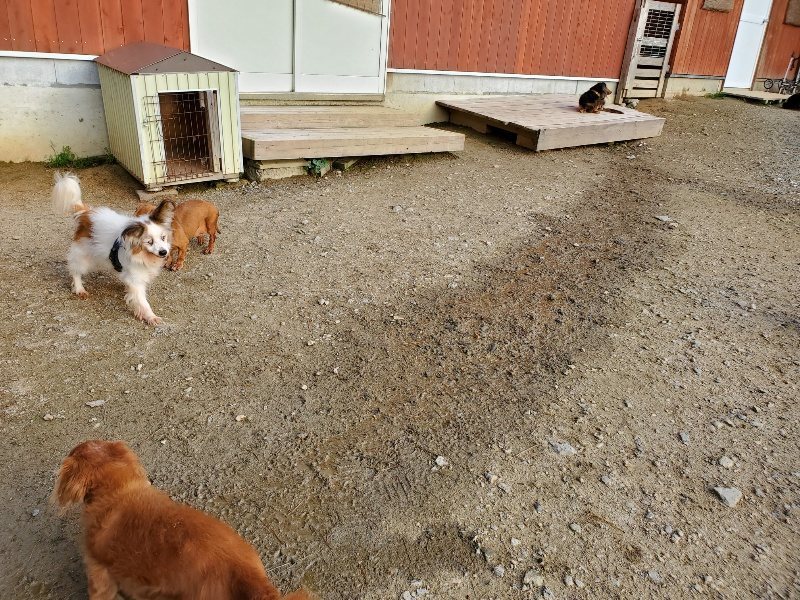 f:id:roukenhome-ann:20191028071235j:plain