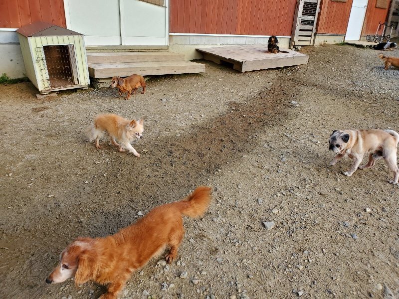 f:id:roukenhome-ann:20191028071251j:plain