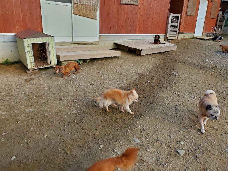 f:id:roukenhome-ann:20191028071257j:plain