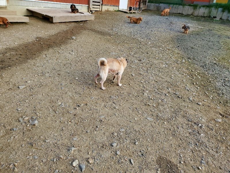 f:id:roukenhome-ann:20191028071315j:plain