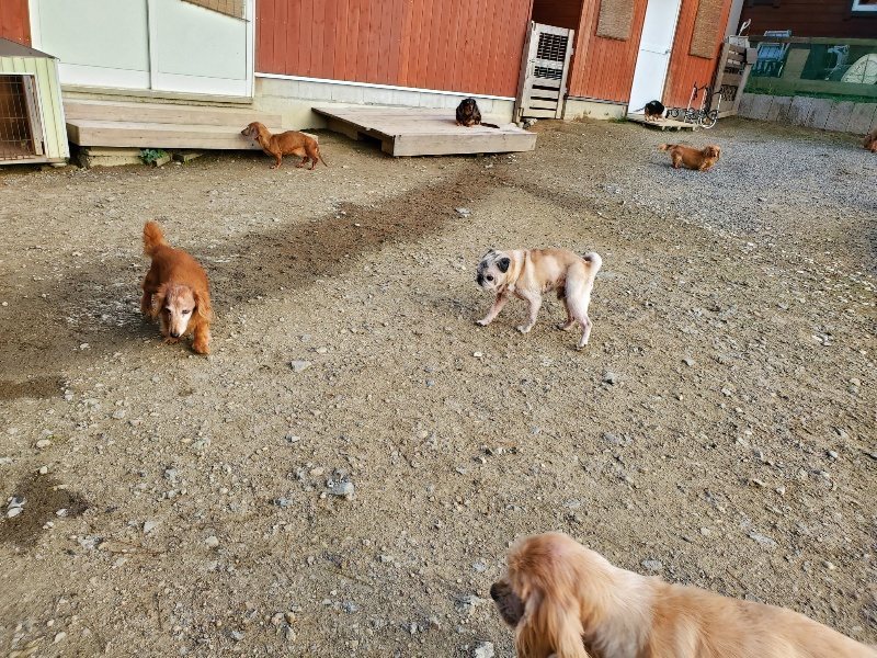 f:id:roukenhome-ann:20191028071328j:plain